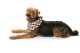 Patron n°7752 : Manteau pour chien