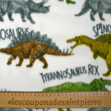 Polaire imprimée dinosaures fond blanc