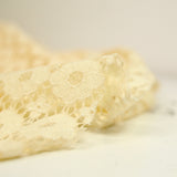 Dentelle festonnée fleurs ivoire