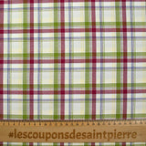 Coton tissé-teint Rowan magenta et vert pomme fond blanc