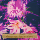 Jacquard de viscose satiné imprimé fleurs d'artifice fond bleu nuit