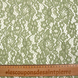 Dentelle festonnée Maud vert sauge