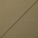 Jersey de coton tissé-teint rayé pointillé olive fond taupe