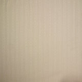 Jersey pointelle 100% coton écru