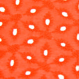 Broderie anglaise Konohana mandarine