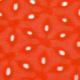 Broderie anglaise Konohana rouge