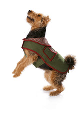 Patron n°7752 : Manteau pour chien