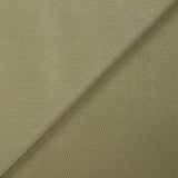 Jersey de polyester envers polaire vert tilleul