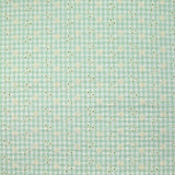 Cotton Vichy embroidered pastel green background