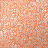 Dentelle polyester Orla pêche