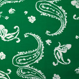 Viscose imprimée cachemire dans le vent fond vert prairie