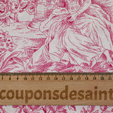 Cotton Printed Pink Jouy Canvas