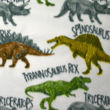 Polaire imprimée dinosaures fond blanc